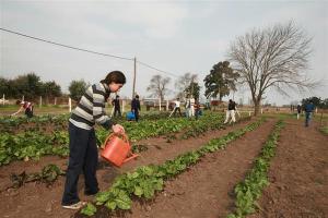 EDUCACIÓN SALUDABLE Y ECOPRODUCTIVA CON ENFOQUE AMBIENTAL