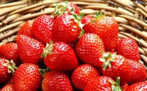 EE.UU. y Canadá son los principales destinos de las fresas peruanas