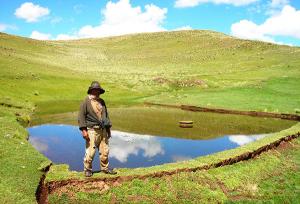 Ejecutivo aprueba reglamento del Fondo Sierra Azul