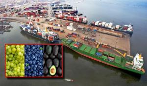 El 90.88% de las agroexportaciones peruanas se despacharon vía marítima en 2025