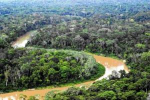 EL 99% DE ÁREAS NATURALES PROTEGIDAS Y TERRITORIOS INDÍGENAS ESTÁN SUJETOS A PRESIONES