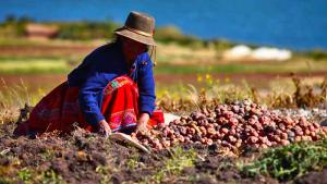 El agricultor está siendo invisibilizado en todo este problema de alta complejidad social