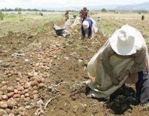 El agro es el segundo sector más moroso