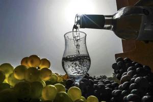 El pisco peruano debe seguir el camino del jerez español en su búsqueda de la internacionalización