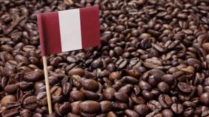 El sector café se consolida como una importante fuente de empleo