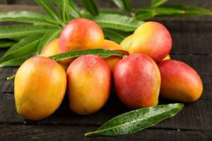 EMEX:  fundamental para la unidad de la industria del mango de México