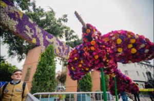 Empezó Perúflora 2019 en el Parque Kennedy de Miraflores