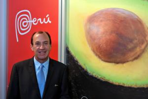 EN EL 2020 PERÚ EXPORTARÍA 300 MIL TONELADAS DE PALTA HASS