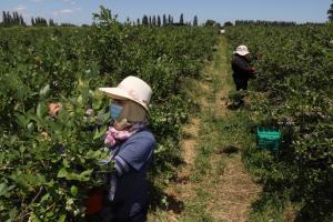 En los últimos 30 años, la productividad del sector agropecuario ha crecido más que el resto de la economía