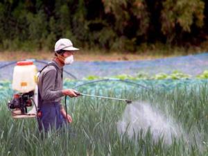 EN PERÚ, LA COSTA ES LA REGIÓN NATURAL DONDE MÁS SE USA INSECTICIDAS 