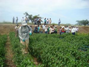 ENCADENAMIENTOS PRODUCTIVOS GENERARON 900 MIL EMPLEOS INDIRECTOS