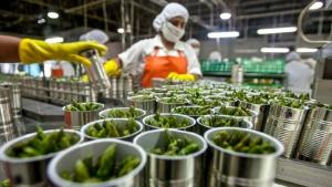 Enero: Número de empresas agroexportadoras ascendió a 1.230