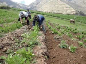 ENTORNO MACROECONOMICO Y AGRICULTURA FAMILIAR EN EL MARCO DE LA CRISIS