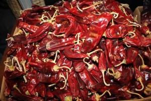 ENVÍOS DE CAPSICUM EN LA MACRO REGIÓN NORTE SUMAN US$ 75.9 MILLONES