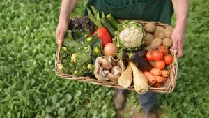 España es el mayor productor ecológico de la UE por superficie y el sexto del mundo