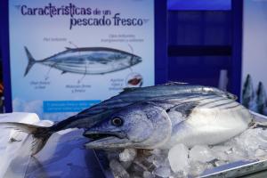 Establecen el límite de pesca del bonito en 42.415 toneladas para todo el 2024