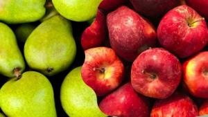 Existencias europeas de manzanas y peras descienden a abril de este año