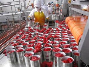 EXPORTACIÓN DE PIMIENTO MORRÓN SUMÓ US$ 15.5 MILLONES