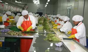 EXPORTACIONES AGRARIAS SUMARON US$ 1.431 MILLONES EN PRIMER CUATRIMESTRE
