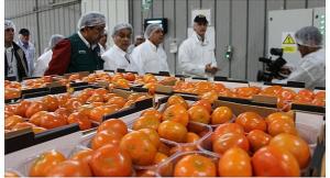 Exportaciones agrícolas frescas alcanzaron los US$ 683 millones en julio de este año