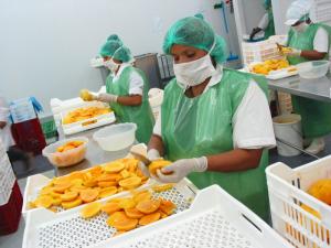 Exportaciones de alimentos de Piura crecieron 39.9% entre enero y julio del presente año