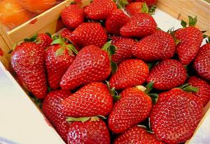 EXPORTACIONES DE FRESAS SE DUPLICARÍAN EN 2012