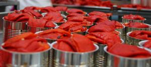 Exportaciones de pimiento piquillo sumaron US$ 30.8 millones