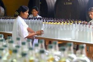 EXPORTACIONES DE PISCO CRECEN EN VALOR MÁS DE 44%