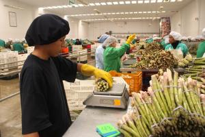 Exportaciones peruanas crecieron 10.2% en el primer bimestre del año