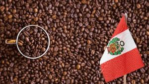 Exportaciones peruanas de café alcanzarían los US$ 1.900 millones por 5.6 millones de quintales al cierre del 2025
