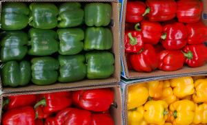 Exportaciones peruanas de capsicum crecen 12% en volumen y 13% en valor durante enero-agosto del 2020