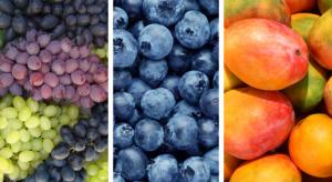 Exportaciones peruanas de frutas ascendieron a US$ 1.702 millones en el primer trimestre de 2025, mostrando un aumento de 20.6%