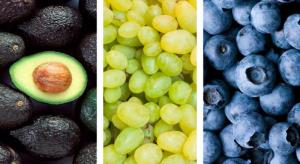 Exportaciones peruanas de frutas y hortalizas alcanzaron los US$ 2.160 millones entre enero y abril de 2025, mostrando un alza de 23.3%