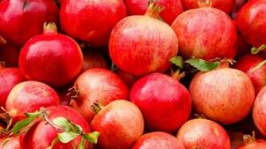 Exportaciones peruanas de granada fresca crecieron 34.27%