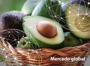 Exportaciones peruanas de palta crecerían entre 8% y 10% este año