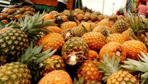 Exportaciones peruanas de piña muestran tendencia interesante