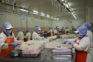 Exportaciones pesqueras crecen 48% en los primeros nueve meses del año