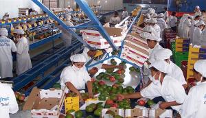 Exportaciones regionales sumaron US$ 28.026 millones en 2020, registrando una caída de 6.4%