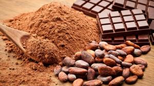 Exportadores de cacao y chocolate habrían generado negocios por US$ 7 millones en rueda comercial