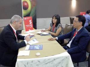 Exportadores y operadores logísticos peruanos incrementarán negocios con Colombia y Brasil