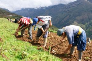 FAE-Agro: Cofide realizará hoy una nueva subasta por S/ 45 millones