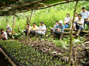 FAO RECOMIENDA ESCUELAS DE CAMPO PARA AGRICULTORES