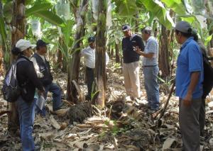 FONCODES INCLUIRÍA COMPONENTE AGRONÓMICO PARA SUS PROYECTOS EN PIURA