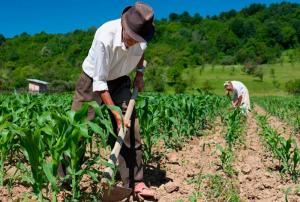 Gobierno amplía los alcances del FAE AGRO hasta junio de 2021 