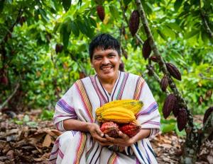 Gobierno aprobó Plan nacional para el desarrollo del cacao y chocolate al 2030