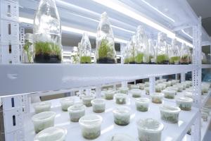 Gobierno continuará promoviendo proyectos de investigación científica, innovación y tecnología agraria hasta el 2020