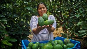 Gran expectativa por el VII Congreso Latinoamericano de la Palta 2025