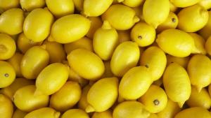 Gremio agrario español reclama ayudas directas a los productores de limón de la Unión Europea