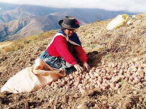 GREMIOS EXIGEN REESTRUCTURACIÓN DEL MINAG Y CONTINUIDAD MINISTERIAL