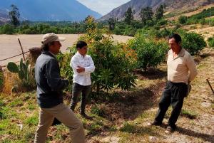 Hay que apoyar al agricultor que decide salir de productos rotativos hacia cultivos permanentes más rentables